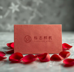 高端LOGO样机