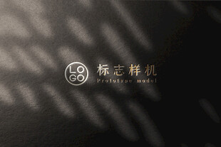 高端LOGO样机