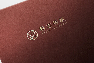 高端LOGO样机