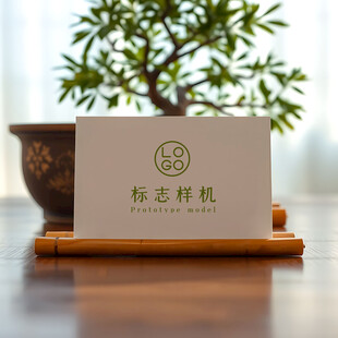 高端LOGO样机