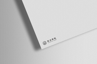 高端LOGO样机