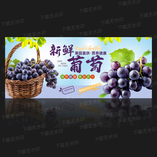 葡萄海报