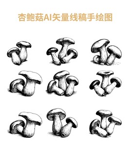 杏鲍菇 手绘 线稿