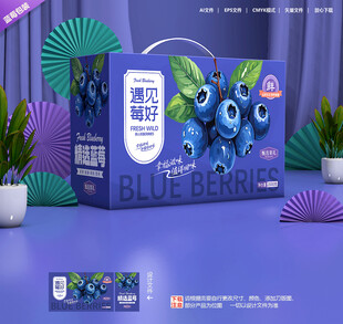 蓝莓包装