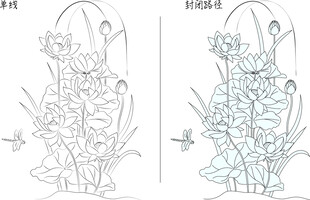 荷花与蜻蜓 矢量图