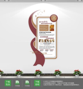 中医养生文化墙