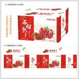 石榴彩箱平面图立体图设计稿