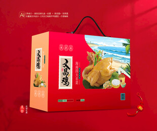 文昌鸡包装 熟食礼盒