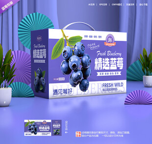蓝莓包装