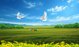 蓝天白云大草原