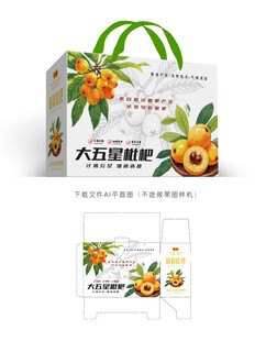 大五星枇杷包装