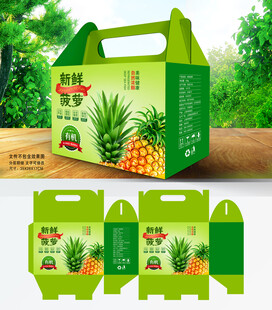 菠萝包装