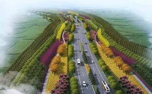 道路景观效果图