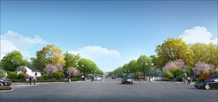 道路绿化效果图