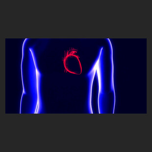 心脏心跳3D透视动画