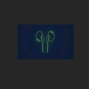 肾X光透视3D动画