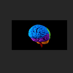 补脑3d动画