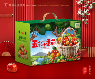 小番茄礼盒 圣女果包装