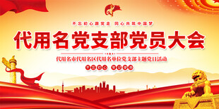 党员大会背景