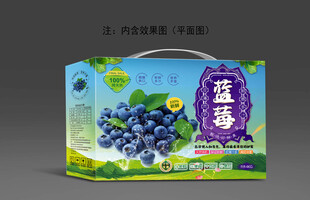 蓝莓包装