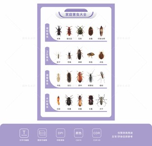 家庭常见害虫分类