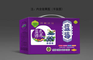 蓝莓包装