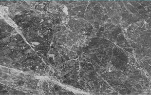 高清灰色鱼肚灰大理石