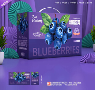 蓝莓包装 水果礼盒