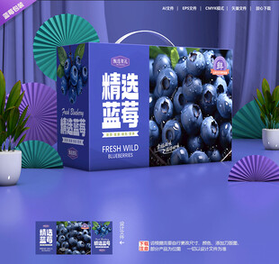 蓝莓包装 水果礼盒