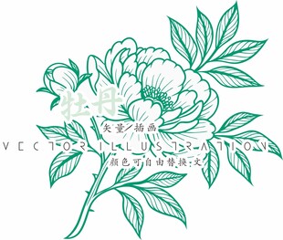 牡丹花线稿线描矢量画