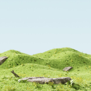 花草背景主图渲染