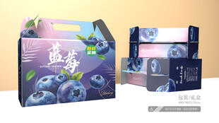 蓝莓包装 平面图