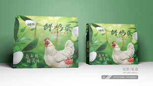 鲜鸡蛋包装 平面图