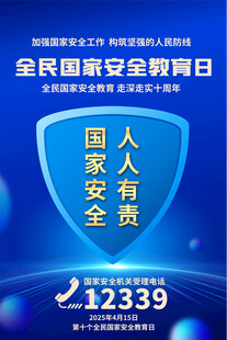 2025全民国家安全教育日海报