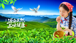 采茶女
