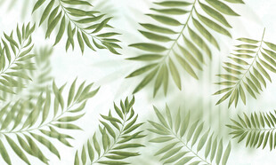 热带雨林植物树叶背景墙