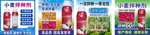 农化种子详情图