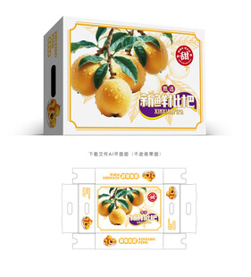 枇杷包装