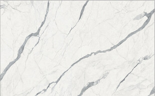 白色鱼肚白大理石