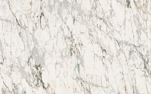 水墨大花白大理石