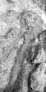 黑白纹理岩石特写