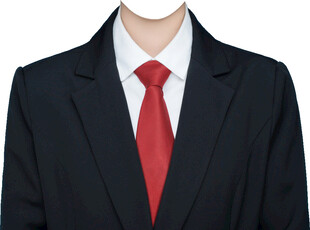 黑西装西服正装红领带证件照衣服