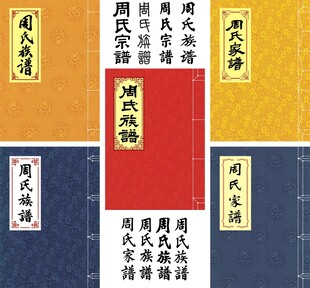 周氏家谱线装书封面