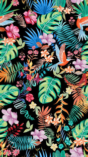 大牌花卉龟背竹