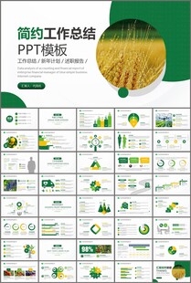 绿色农业产业总结计划ppt模板