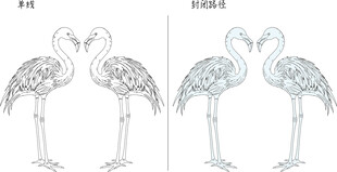 火烈鸟线条插画设计图