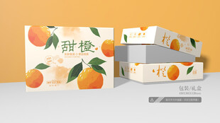 橙子包装