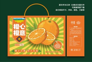 橙子礼盒包装插画设计