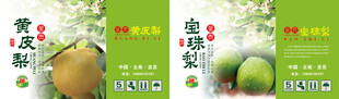 梨包装设计展示
