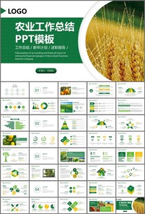 绿色农业产业总结计划ppt模板